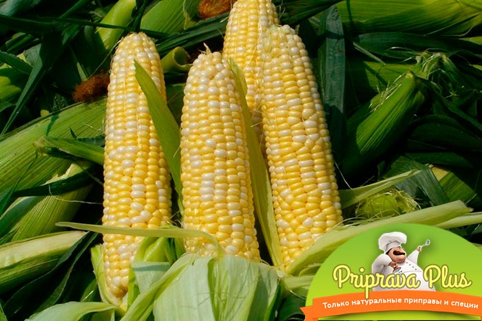 Чем полезна кукуруза и как быстро ее приготовить